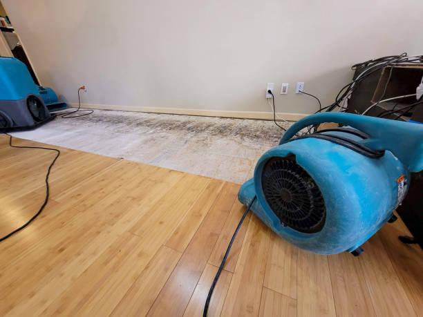 Professional Structural Drying technician working in Richboro, PA